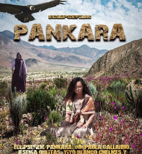 pankaraportada