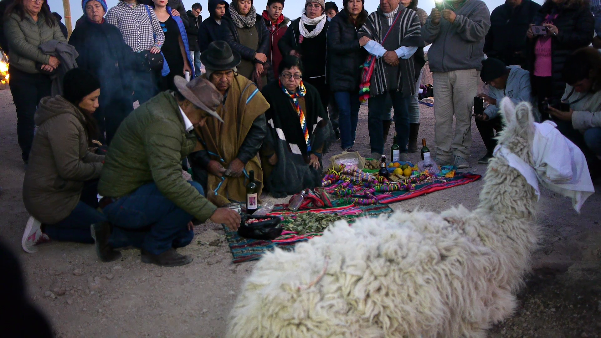 vlcsnap-2023-07-04-15h59m45s857